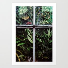 greenhouse v Art Print