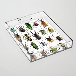 Beetles Collage Acrylic Tray