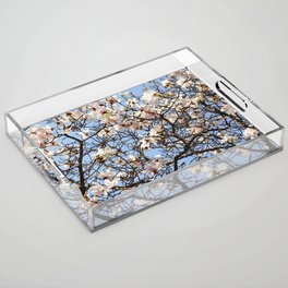 Pattern of magnolia branches | Spring floral background Acrylic Tray