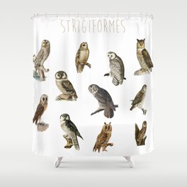 Owls Shower Curtain