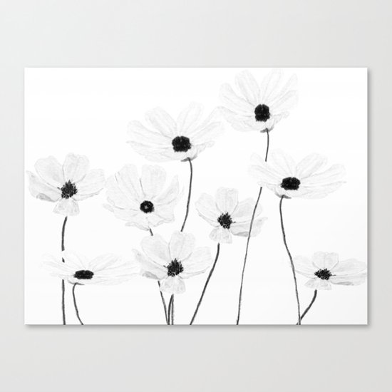 black and white cosmos Canvas Print