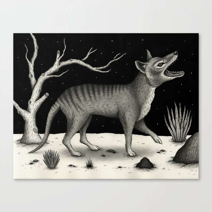 Thylacine (Tasmanian Tiger) Canvas Print