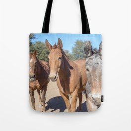 Two mules and a horse. Tote Bag