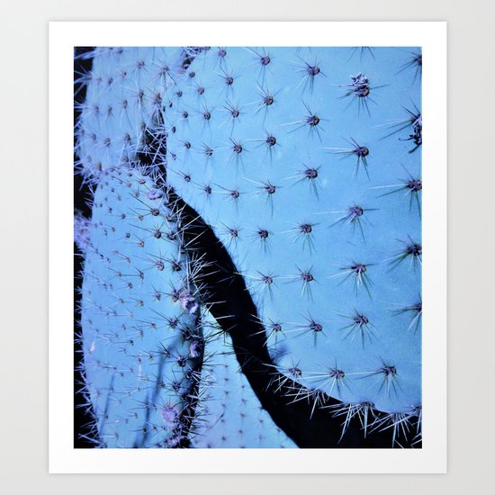 cactus in blue Art Print