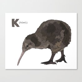 Funky Animal Alphabet: K is for Kiwi Canvas Print