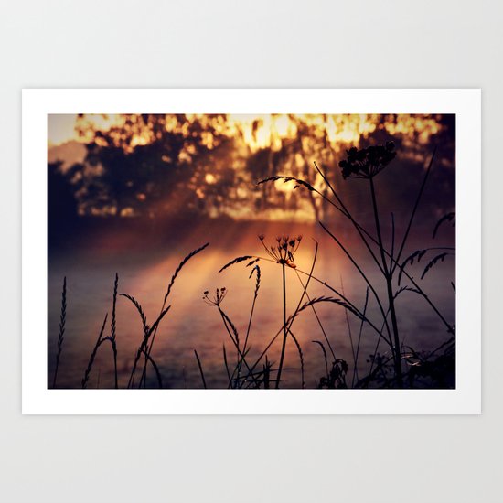Dawn Rays Art Print