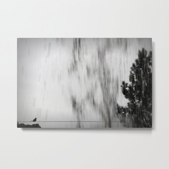 there was a little bird... Metal Print