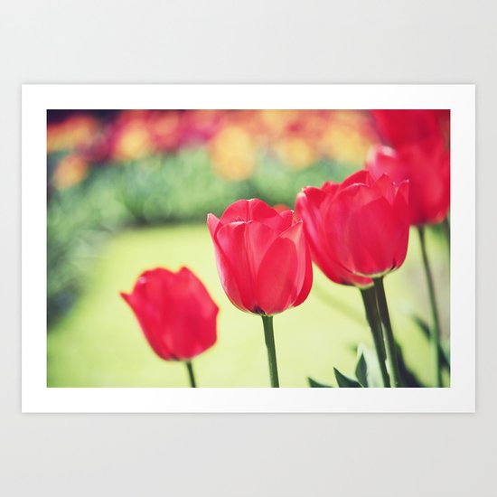Tulips Art Print
