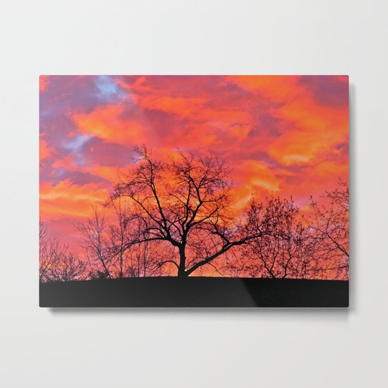 Morning to the East Metal Print
