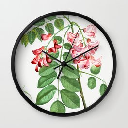 Robinia rosea (Robinier rose) from Traite des Arbres et Arbustes que lon cultive en France en pleine Wall Clock