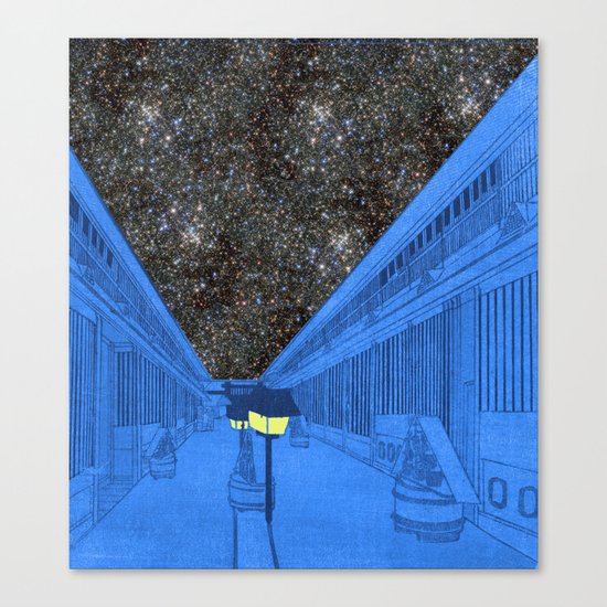 Life on the outside Canvas Print