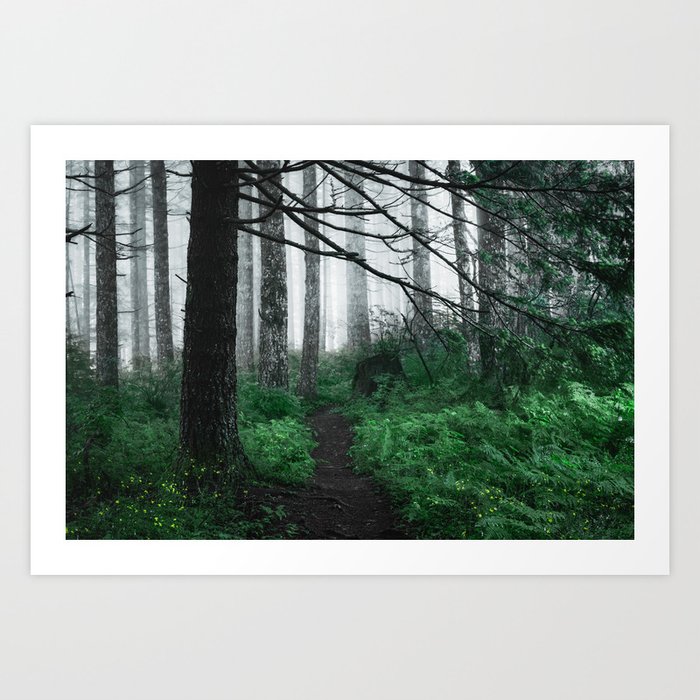 Forest Trail Hiking PNW Art Print