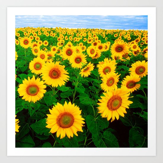 Sunflower art decoration ideas best design Art Print