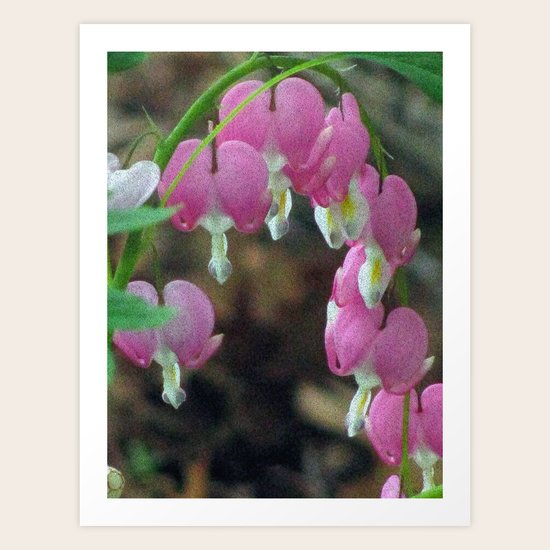 Hearts Art Print