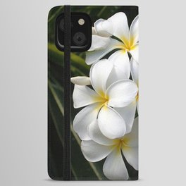 Wild Tropical Hawaiian Plumeria Flowers iPhone Wallet Case