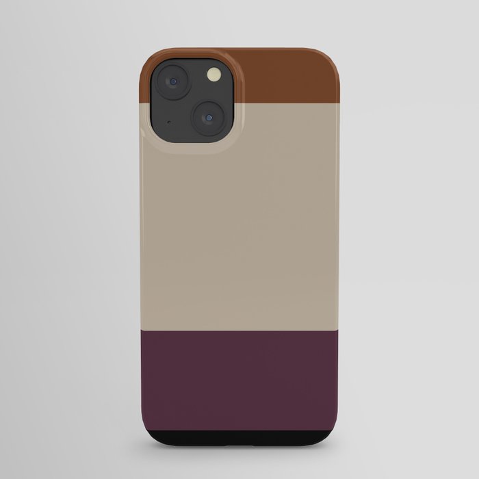 Contemporary Color Block VI iPhone Case