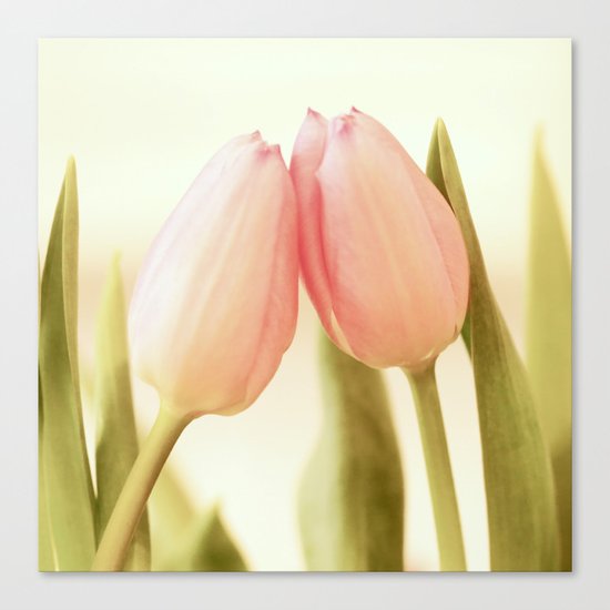 Be My Valentine Canvas Print