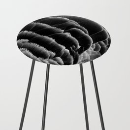 Greylag goose feathers in black and white | Bird feather texture Counter Stool