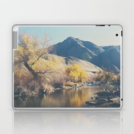 down by the river ... Laptop & iPad Skin