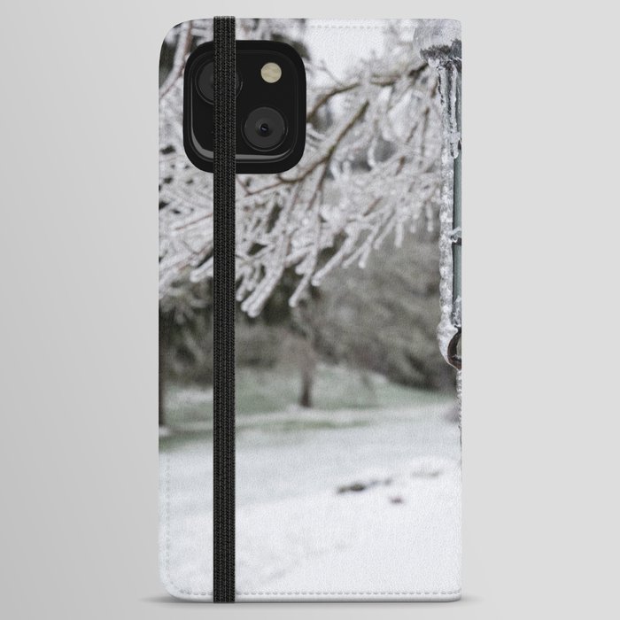 Winter Welcome Rustic Lamppost and Landscape with Snow and Ice iPhone Wallet Case