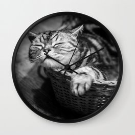sleepy cat Wall Clock