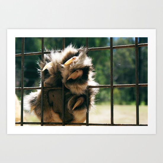 Lion Claw Art Print