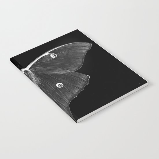 Luminescence Notebook