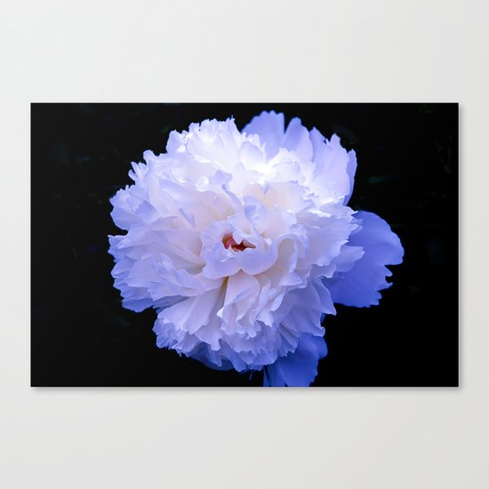 Red, White and Blue Canvas Print