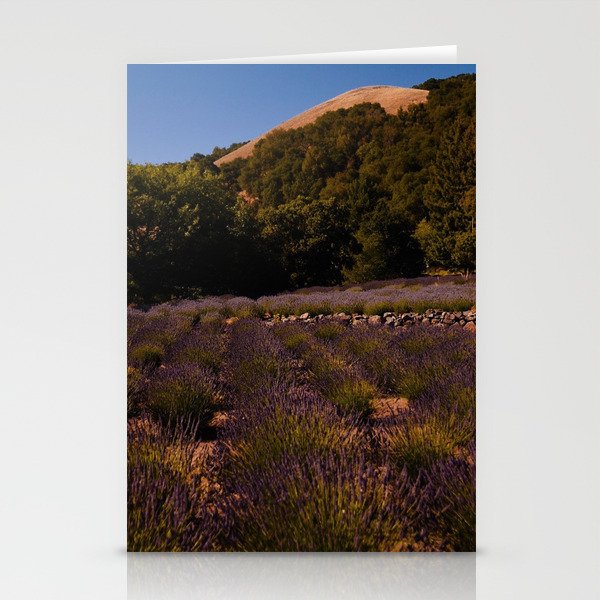Lavender Fields Stationery Cards