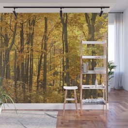 Yellow Woods NC, Fine Art Landscape Photo Wall Mural