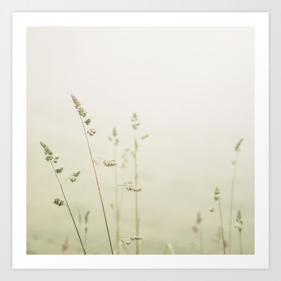 Stems Art Print