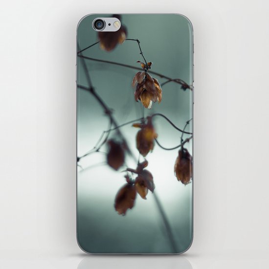 Frost & beauty III iPhone & iPod Skin