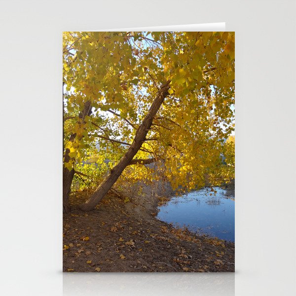 Cottonwood Tree Fall Reflections Stationery Cards
