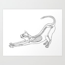 Cat Anatomy Art Print
