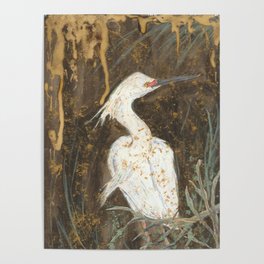 Snowy Egret Poster