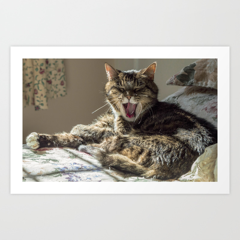 The Laughing Cat Art Print By Attemptingpatti Society6