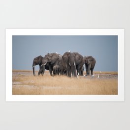 Elephants // Serengeti Art Print