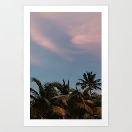 Key West Palmtrees | Fine Art Travel Photography Art Print