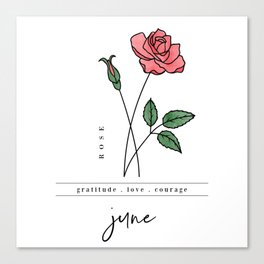 June Birth Flower | Rose Canvas Print