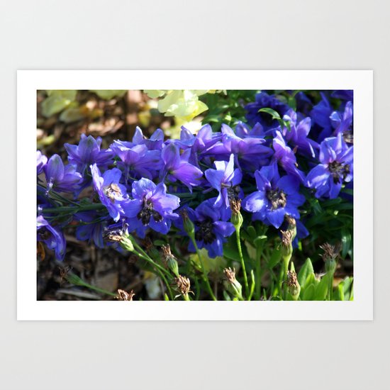 Spring flowers Art Print