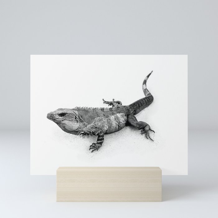 Iguana Mini Art Print