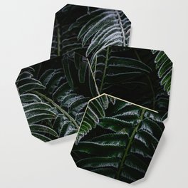 Deep green fern frond Coaster