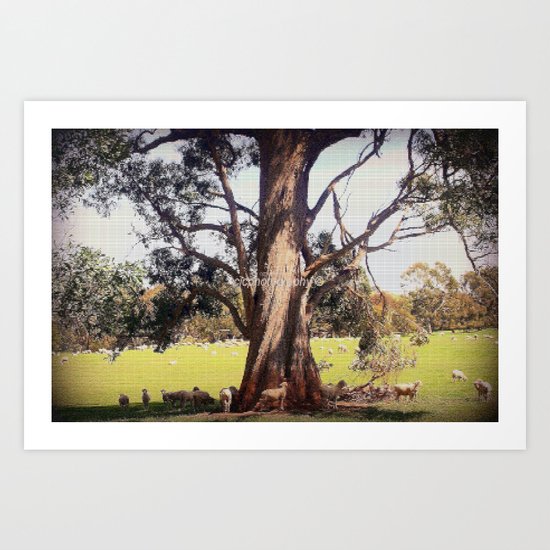 Under the shade of a coolabah Tree Art Print