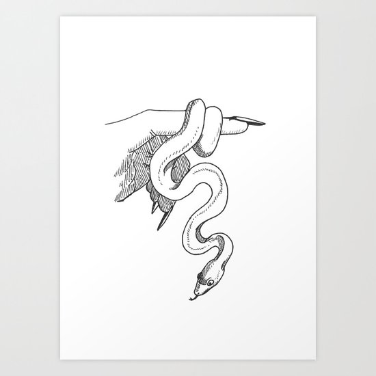 Leucistic Rainbow Boa White Snake Art Print By Charlottecurtis