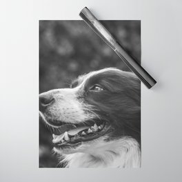 Expression Border Collie Wrapping Paper