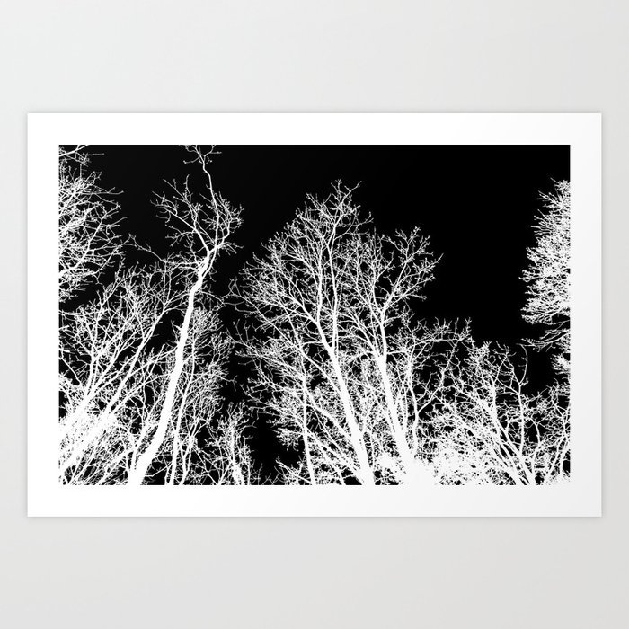 Creepy Trees Silhouette White On Black Minimal Minimalist Minimalism Art Print By Frozenlakemp
