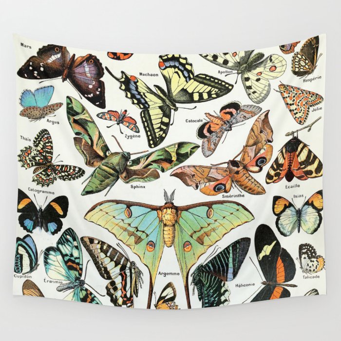 Papillon, Adolphe Millot, Vintage Illustration Wall Tapestry