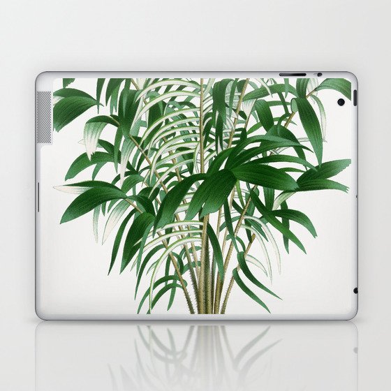 Vintage Tropical Botanical Print - Astrocaryum Laptop & iPad Skin