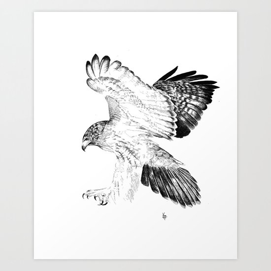 Download Red Tailed Hawk Art Print by kcgillies | Society6