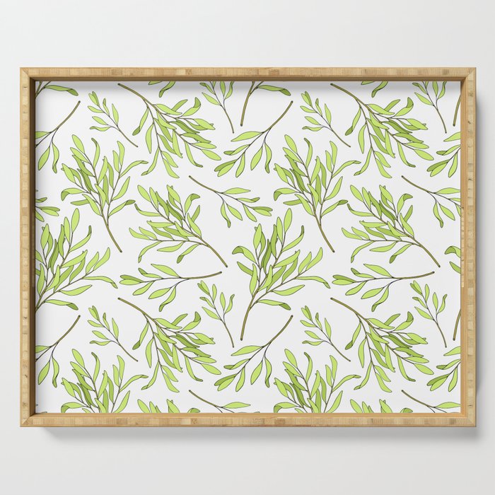 Tea tree leaves seamless pattern. Hand drawn vintage illustration of Melaleuca. Green medicinal plant isolated on white background.  Serving Tray